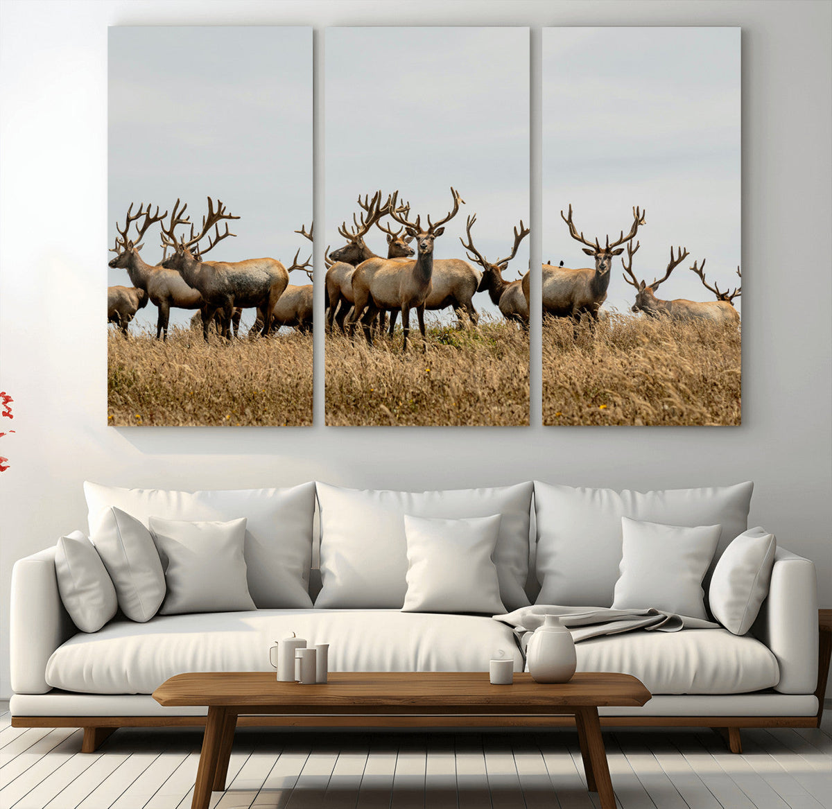 Elk Herd Wall Art Canvas Print – Framed Wildlife Photography