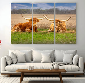 Texas Longhorn Pair Wall Art Canvas Print – Peaceful Rustic