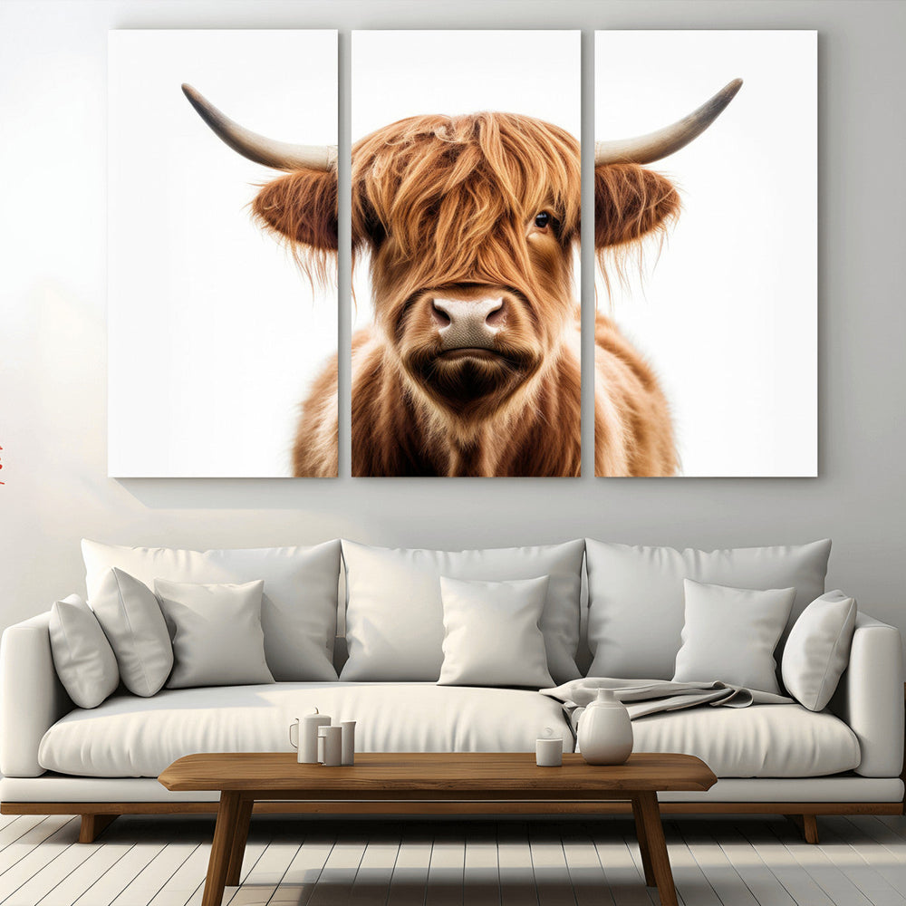 Scottish Highland Cow Canvas Print, Framed Highland Cow