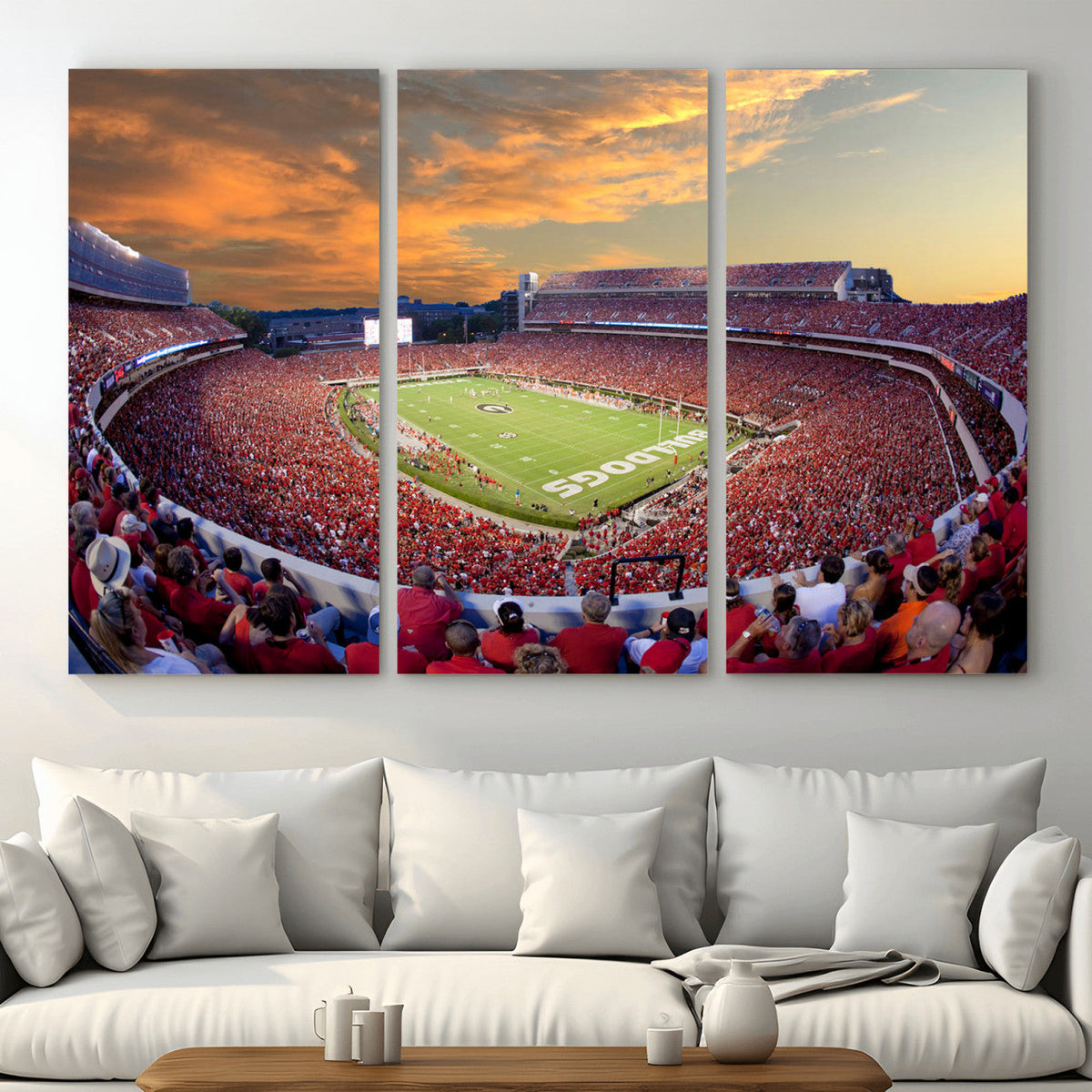 Dooley Stadium Wall Art, Sports Arena Canvas Print, Dooley