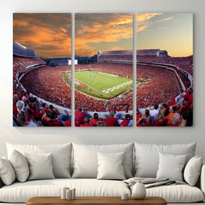 Dooley Stadium Wall Art, Sports Arena Canvas Print, Dooley