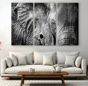Wild Old Elephant Wall Art Canvas Print