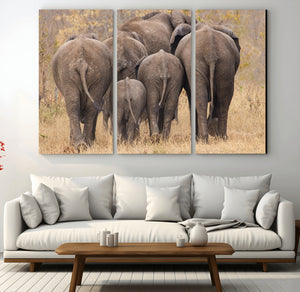 Wild Elephant Wall Art Canvas Print