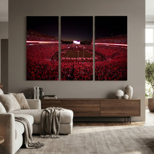 Sanford Stadium Wall Art Canvas Print – Georgia Bulldogs