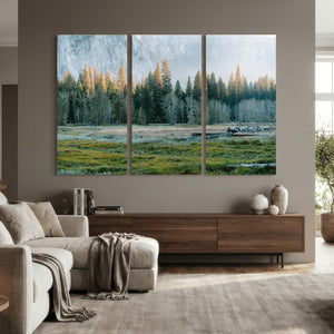 Forest Meadow Wall Art Canvas Print, Pine Tree Landscape