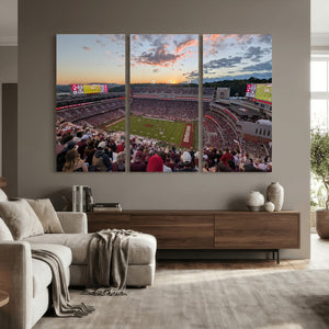 Donald W. Reynolds Razorback Stadium Wall Art Canvas Print –
