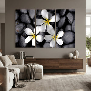 Plumeria Frangipani Black Stone Canvas | White Flower Spa