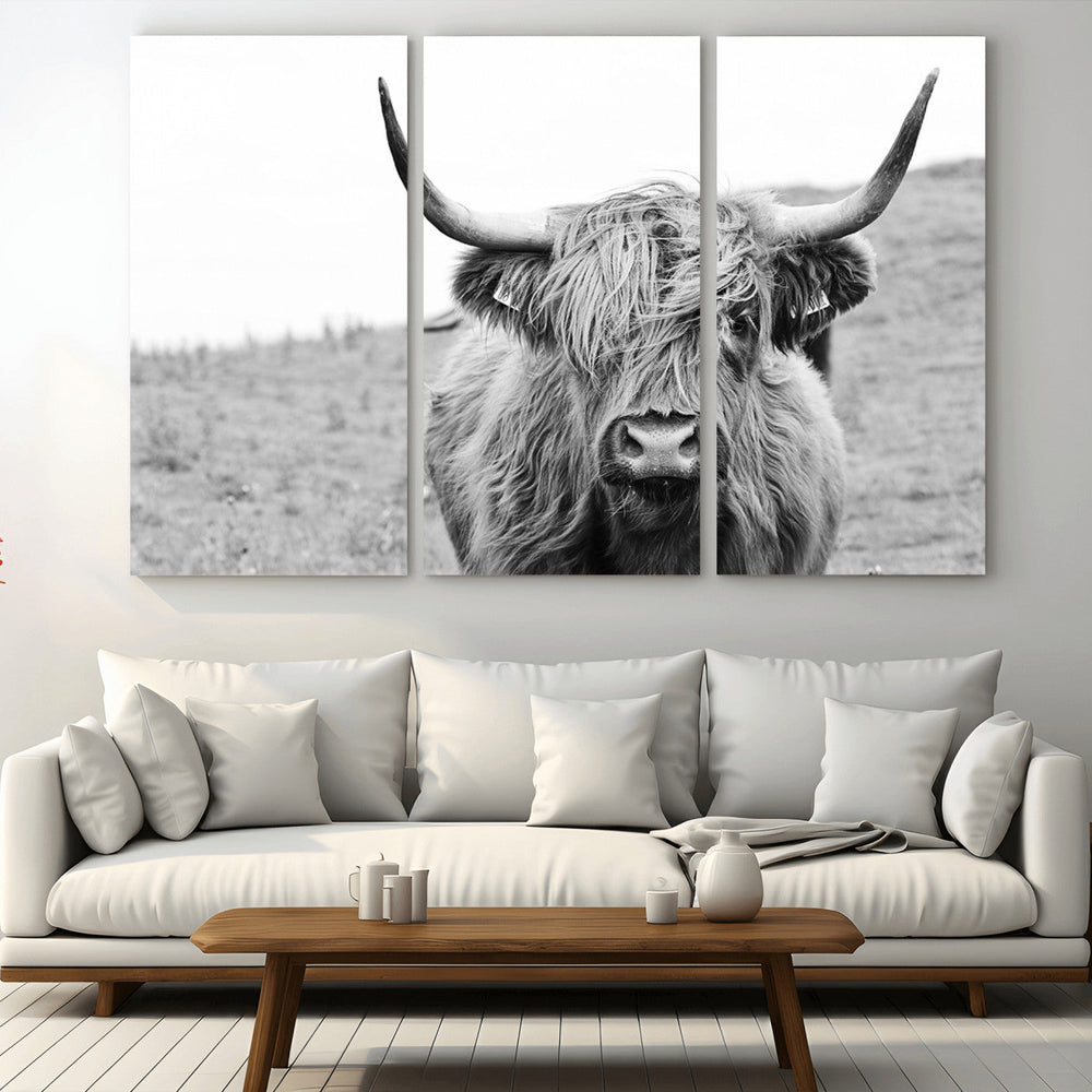 Newfoundland Cow Art Wall Art, Black White Cow Art Wall Art