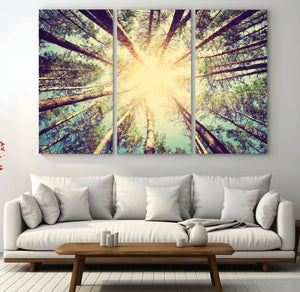 Tree and Sunshine Canvas Print