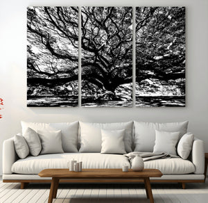 Mighty Angel Oak Wall Art | Angel Oak Tree Art Print