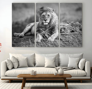 King Forest Lion Wall Art Canvas Print – Framed Majestic