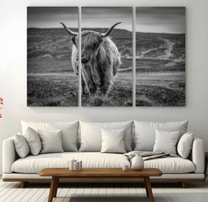 Fluffy Cattle Wall Art Print, Highland Cow Canvas, Framed