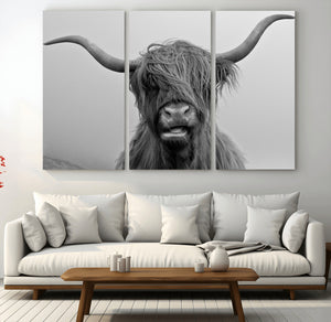 Texas Cow Wall Art Canvas, Texas Longhorn Cattle Canvas