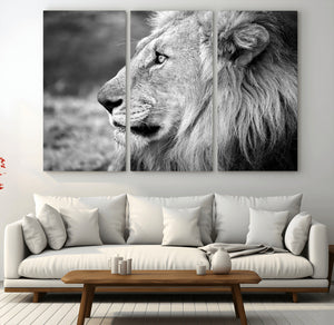 Lion Wall Art Canvas Print – Framed Majestic Wildlife