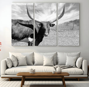 Cattle Wall Art Longhorn Cow Canvas Print