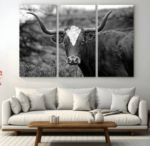 Western Home Wall Art Canvas Print, Framed Texas Longhorn