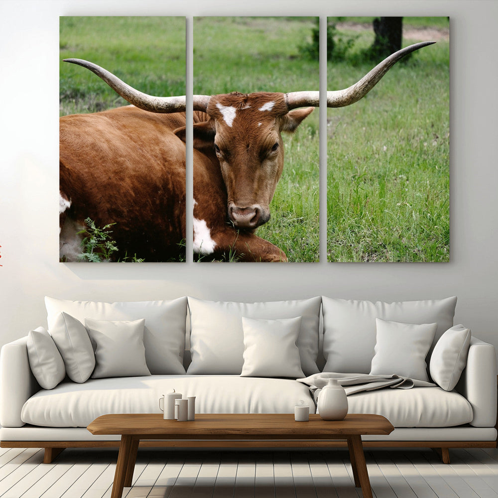 Longhorn Cow Animal Wall Art Canvas Print