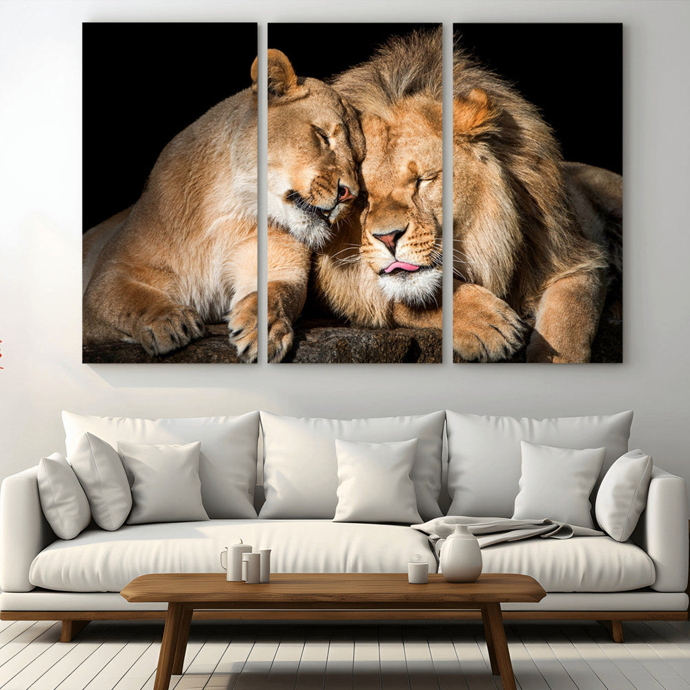 Lion and Lioness Wall Art Canvas Print – Framed African