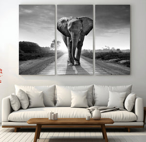 Black and White Elephant Wall Art Canvas Print