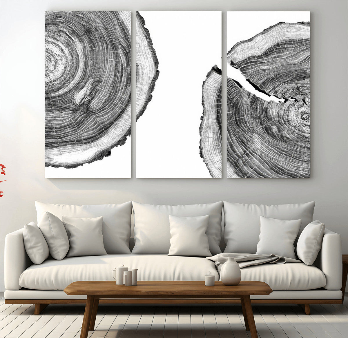 Abstract Large Tree Rings – Minimalist Black and White Wood