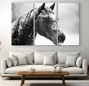 Horse Canvas Print - Winter Horse Snow Wall Art Canvas Print