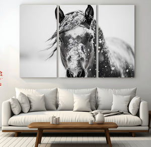Western Wall Art | Black and White Winter Horse Wall Art |