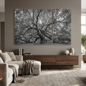 Majestic Angel Oak Tree Black and White Canvas Print – Multi