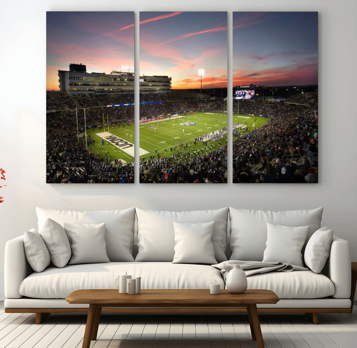 The University of Connecticut UCONN Huskies Football Team