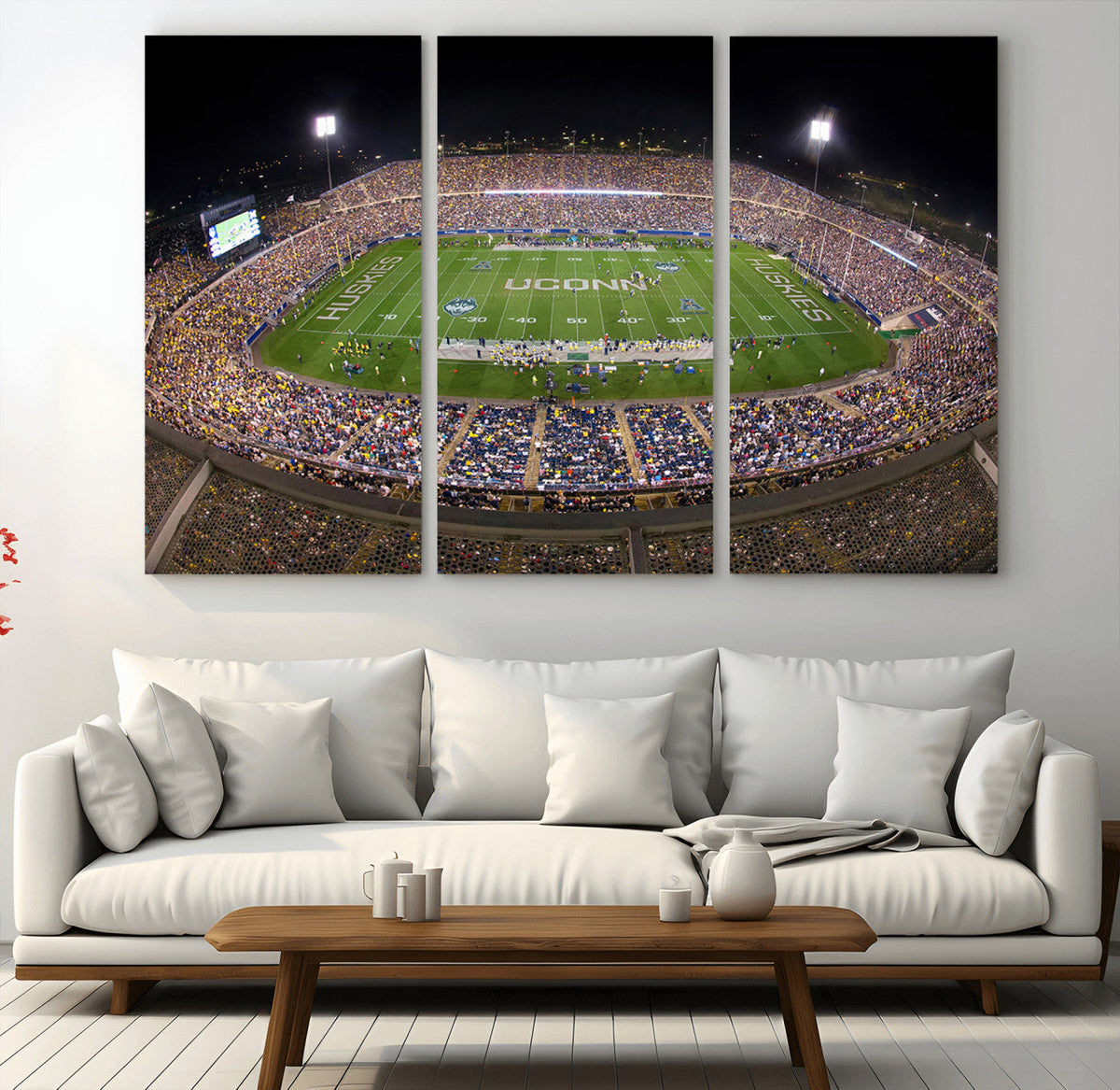 The University of Connecticut UCONN Huskies Football Team