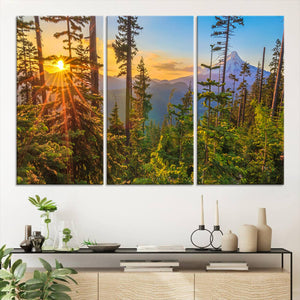 Forest Sunset Wall Art Canvas Print, Glowing Evening Light