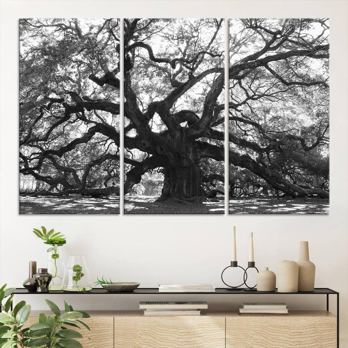 Ancient Oak Wall Art Canvas Print, Majestic Twisted Branches