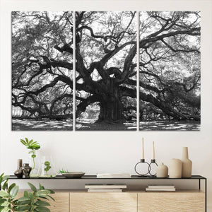 Ancient Oak Wall Art Canvas Print, Majestic Twisted Branches
