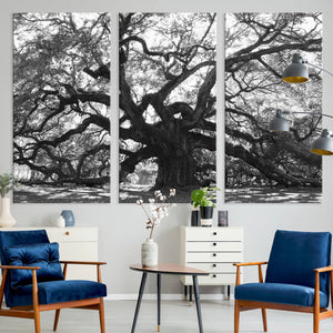 Ancient Oak Wall Art Canvas Print, Majestic Twisted Branches