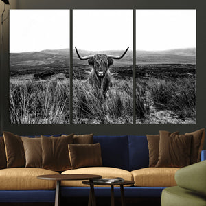 Black and White Highland Cow Canvas Wall Art, Longhorn
