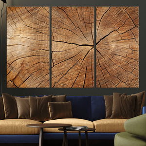 Tree Ring Canvas Art, Rustic Wood Grain Wall Art, Tree Slice