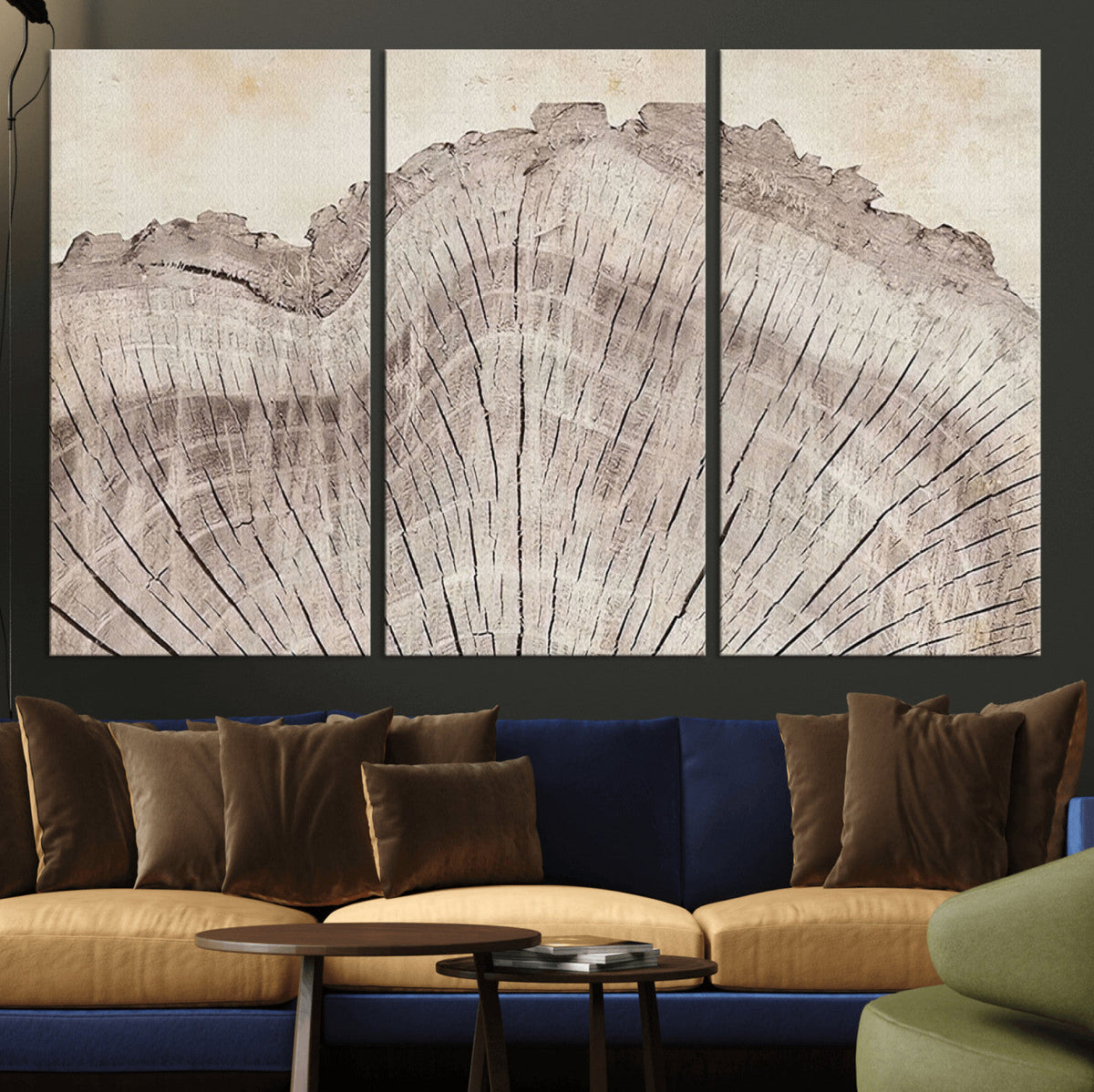 Tree Ring Wall Art Triptych, Rustic Wood Ring Canvas Print,