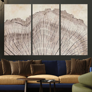 Tree Ring Wall Art Triptych, Rustic Wood Ring Canvas Print,