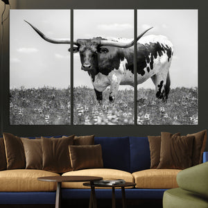Texas Black White Highland Longhorn Cow Wall Art Canvas