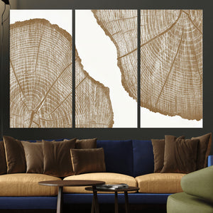 Rustic Brown Tree Ring Wall Art Canvas Print – Framed and