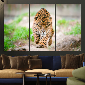 Leopard on the Prowl - Stunning Large Framed Leopard Wall