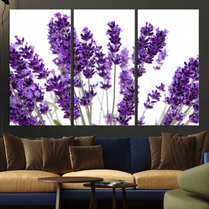 Lavender Flower Wall Art Canvas Print