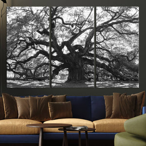 Ancient Oak Wall Art Canvas Print, Majestic Twisted Branches