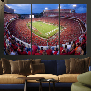 Dooley Stadium Wall Art, Sports Arena Canvas Print, Dooley