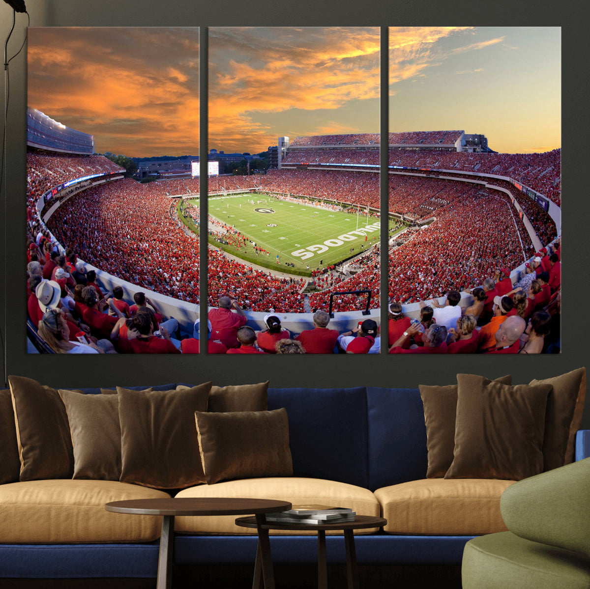 Dooley Stadium Wall Art, Sports Arena Canvas Print, Dooley