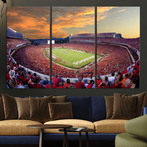 Dooley Stadium Wall Art, Sports Arena Canvas Print, Dooley