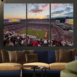 Donald W. Reynolds Razorback Stadium Wall Art Canvas Print –