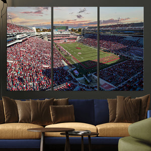 Donald W. Reynolds Razorback Stadium Wall Art Canvas Print –