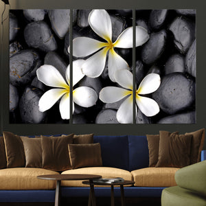 Plumeria Frangipani Black Stone Canvas | White Flower Spa
