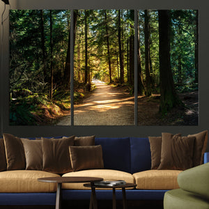 Sunlit Forest Pathway Canvas Print | 3 Panel Large Nature