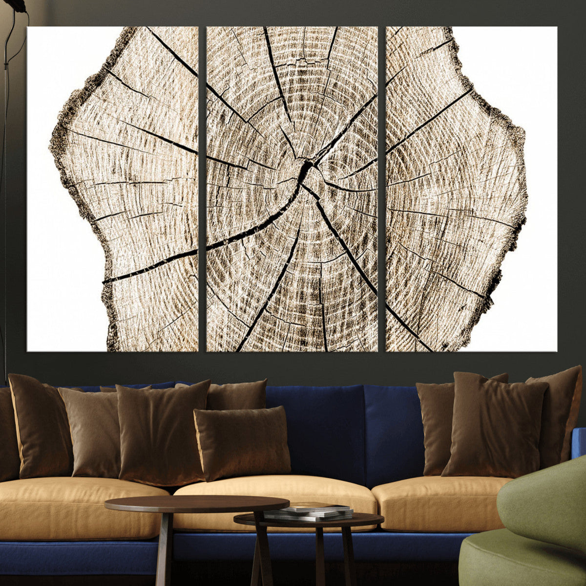 Abstract Wood Tree Ring Wall Art - Ready to Hang Minimalist